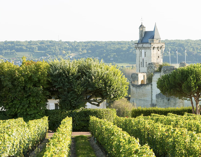 Thumbnail for event: 67 Wine Class: Loire Valley Sauvignon Blanc with Rand Sieger